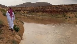  سيول سيناء