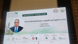 جانب من الفعاليات