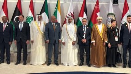 المجلس الوزاري العربي للكهرباء