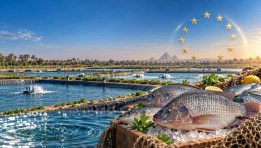 منتجات الاستزراع السمكي