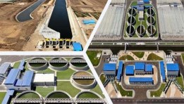 المشروعات التنموية