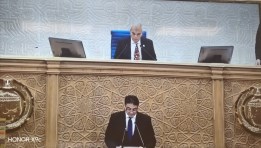 مجلس الشيوخ