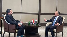 الدكتور بدر عبد العاطي 