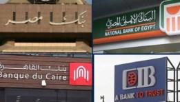 البنوك الحكومية والخاصة_ صورة أرشيفية 