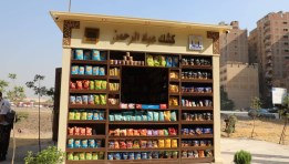 الأكشاك الموحدة الجديدة في القاهرة 2026