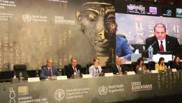 جانب من فعاليات الدورة التاسعة عشرة للجنة الكودكس الدولية 