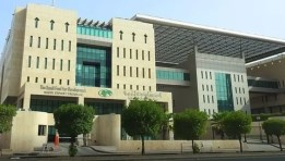 الصندوق السعودي للتنمية