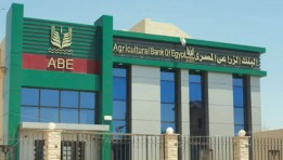 البك الزراعي المصري 