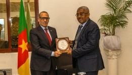جانب من الفاعليات