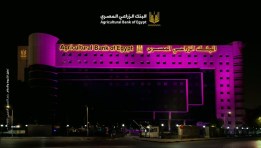 البنك الزراعي المصري- صورة من الفاعلية