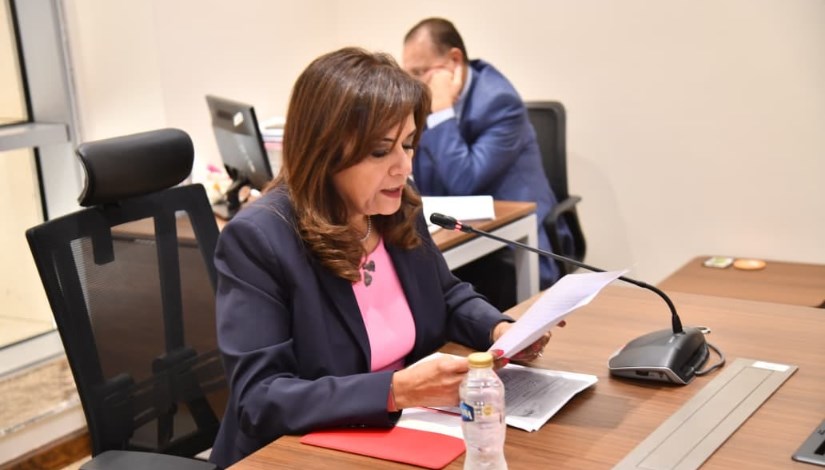 النائبة سحر طلعت مصطفي