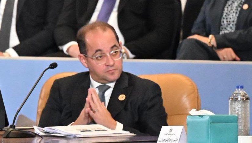 وزير المالية