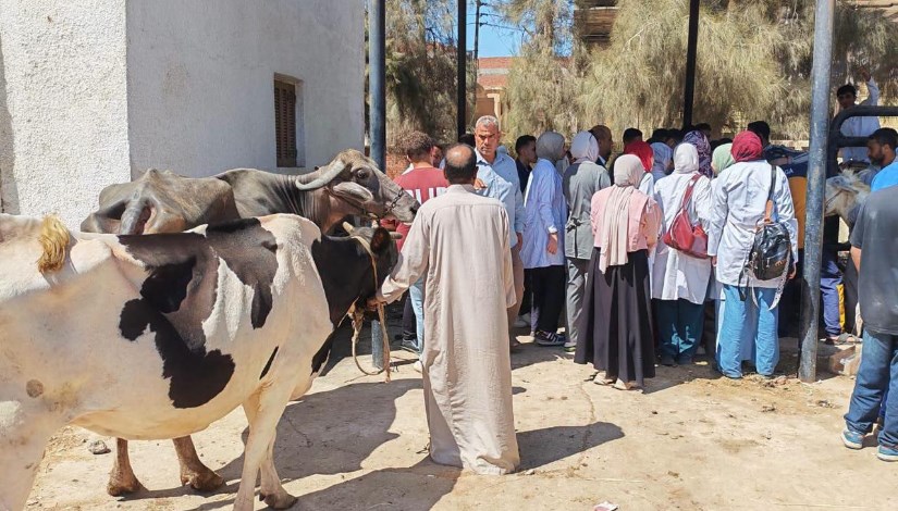 جانب من التحصين 