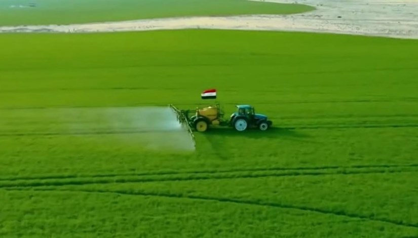 الرقعة الزراعية