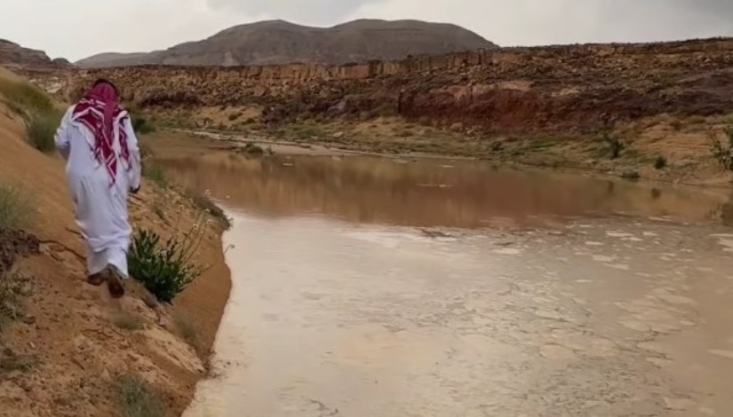  سيول سيناء