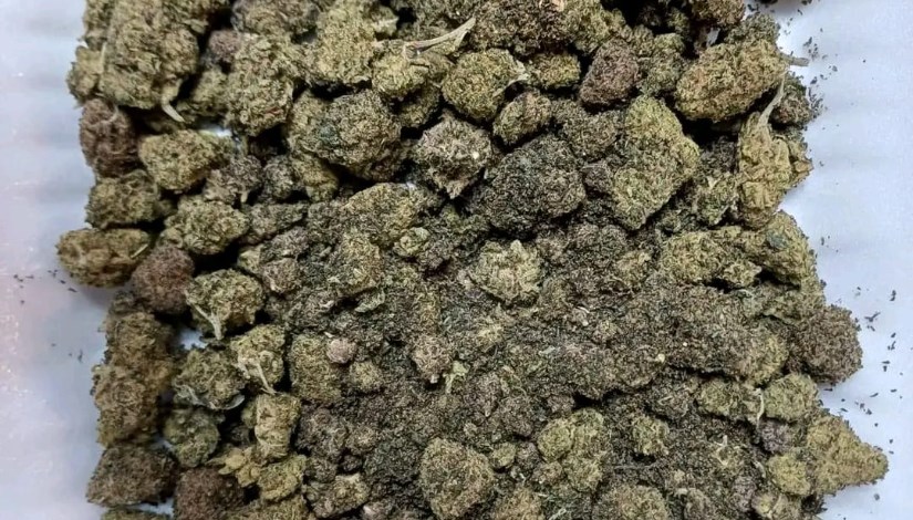 مخدر الماريجوانا