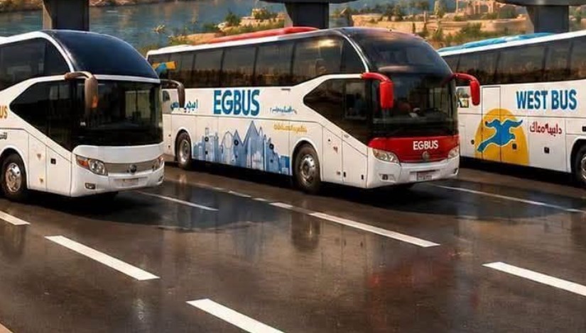 أتوبيسات _ صورة أرشيفة 