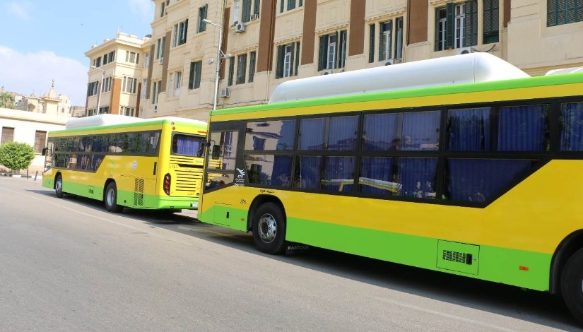  أتوبيسات النقل العام_ صورة أرشيفية 