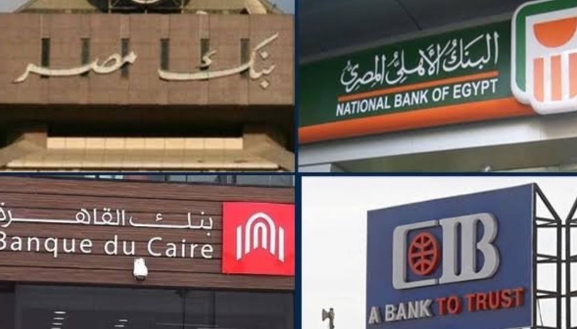 البنوك الحكومية والخاصة_ صورة أرشيفية 