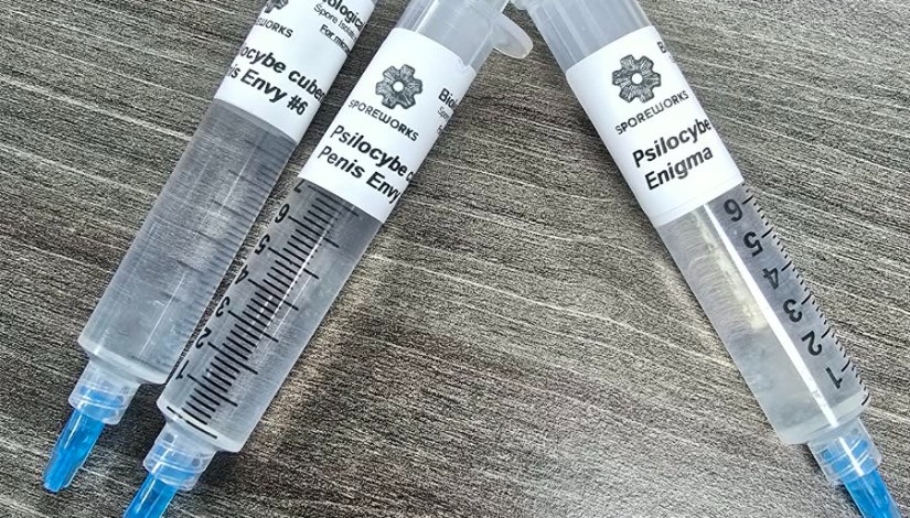 ضبط سرنجات تحتوي على مخدر السيلوسايبين