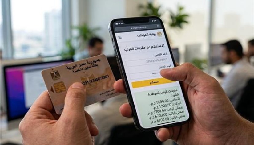 مفردات المرتب أونلاين- تعبيرية