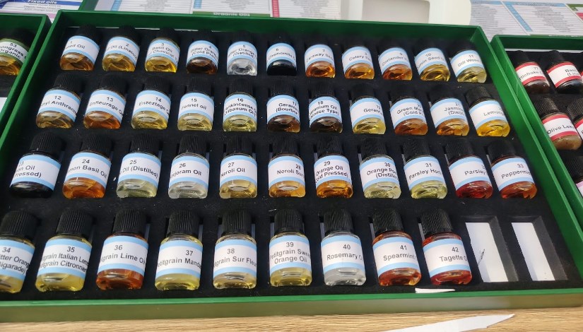 عينة من المنتجات