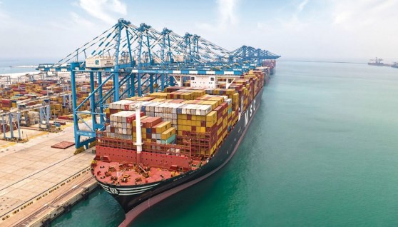 موانئ أبوظبي