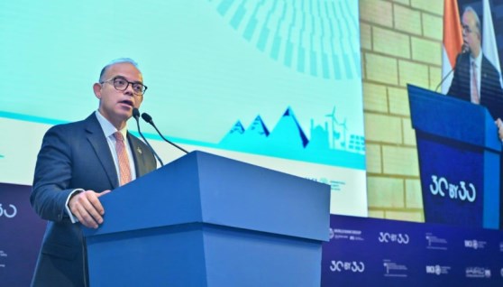  الدكتور محمد فريد، وزير الاسثتمار