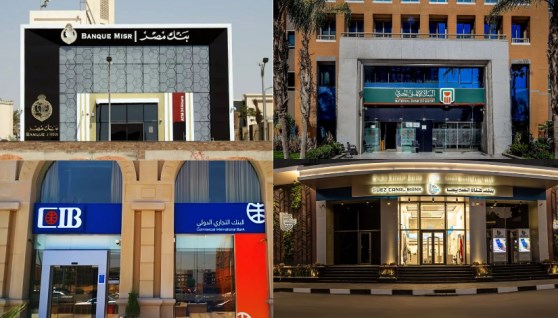 البنوك الحكومية والخاصة