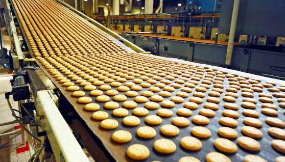 تصنيع غذائي