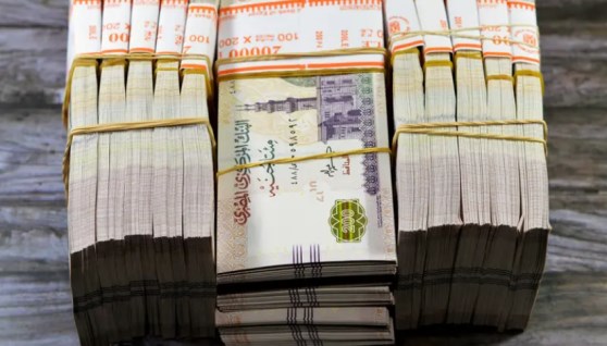 عوائد سند المواطن