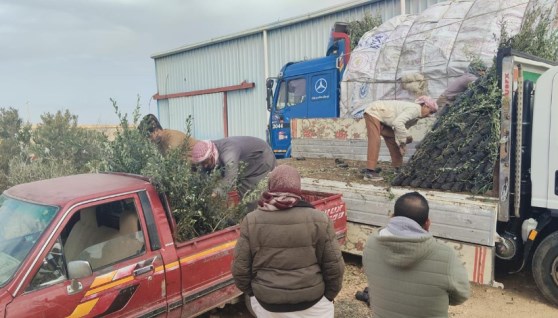 جانب من الفعالية