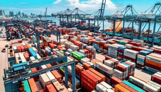 التبادل التجاري بين مصر وفيتنام- أرشيفية