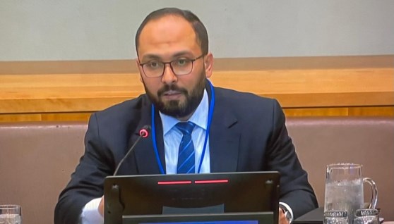  رامي يوسف، مساعد وزير المالية للسياسات الضريبية