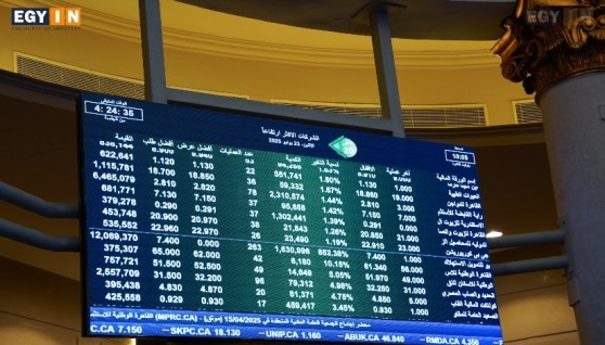 البورصة المصرية