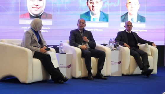 وزير المالية