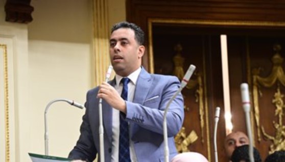 النائب أحمد فرغلي