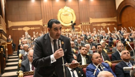 النائب السعيد غنيم، رئيس الهيئة البرلمانية لحزب المؤتمر بمجلس الشيوخ