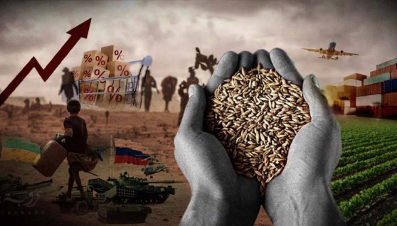 الأمن الغذائي