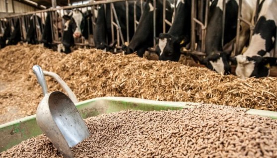 اعلاف مركبة