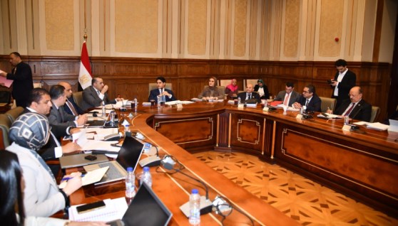 جانب من اجتماع لجنة الشؤون المالية والاقتصادية والاستثمار بمجلس الشيوخ