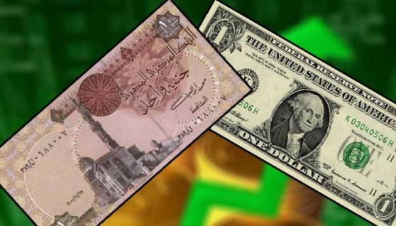 الجنيه المصري والدولار الأمريكي