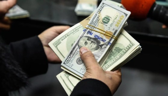 سعر الدولار 