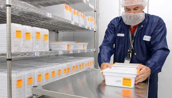 التخزين البارد الأدوية