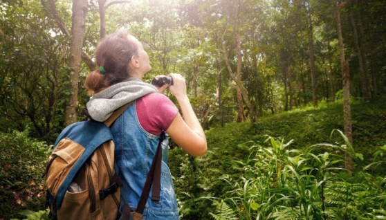 السياحة البيئية