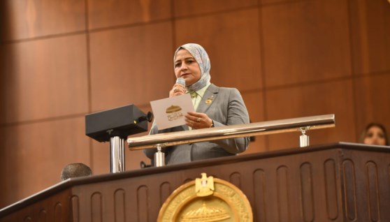 الدكتورة مروة قنصوة، عضو مجلس النواب وأمين سر لجنة الطاقة والقوى العاملة بمجلس الشيوخ