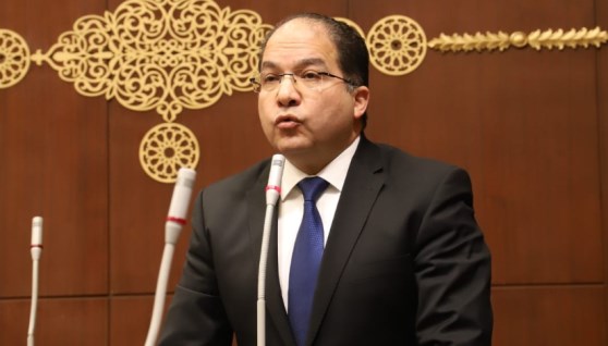 النائب عادل اللمعي، عضو مجلس النواب