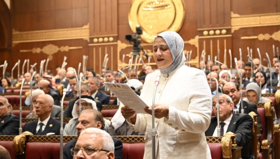  النائبة مروة قنصوة، أمين سر لجنة الطاقة والبيئة والقوى العاملة بمجلس الشيوخ