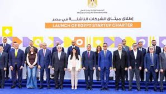 المجموعة الوزارية لريادة الأعمال  