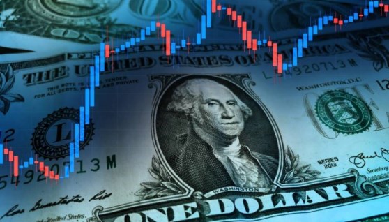 سعر الدولار 